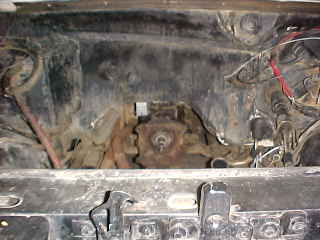 1983 Ford Bronco - Helloooo in there.