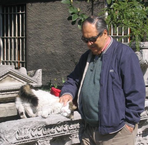 1969 Ford Mustang - A man gently pets a cat resting on an ornate stone structure outdoors.