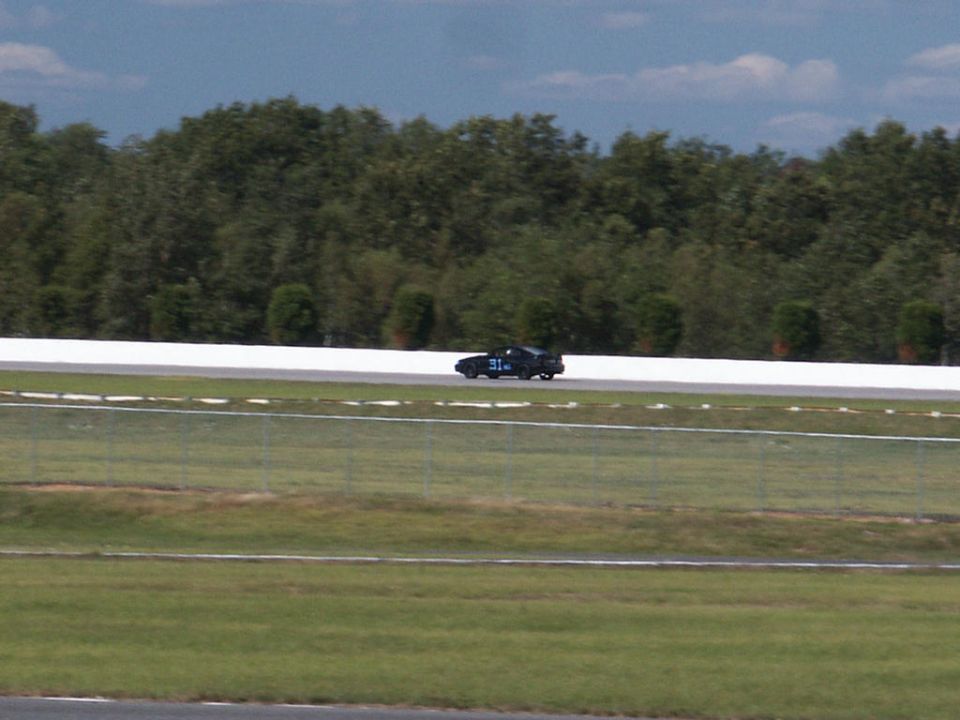 Black race car with blue number 31 on side, driving on a track with trees in background