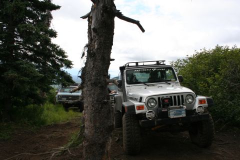 2004 Jeep TJ - A silver Jeep Wrangler and another vehicle are parked on a dirt trail surrounded by trees and foliage.