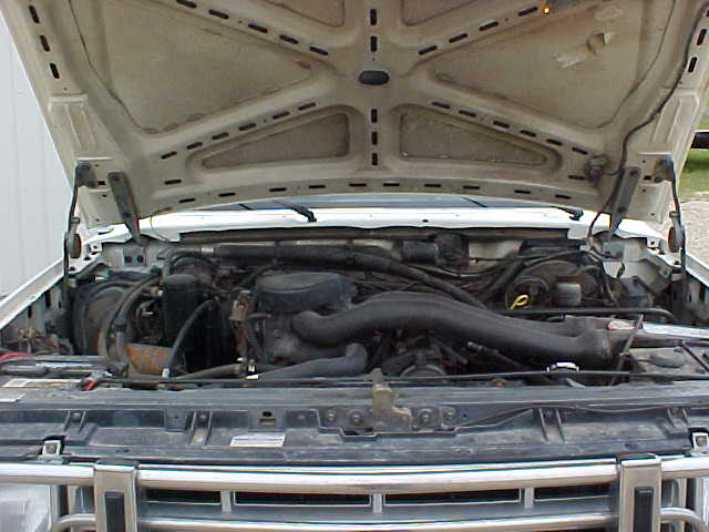 Engine bay of a white Ford with hood open, showing V8 engine, black intake hose, and wiring