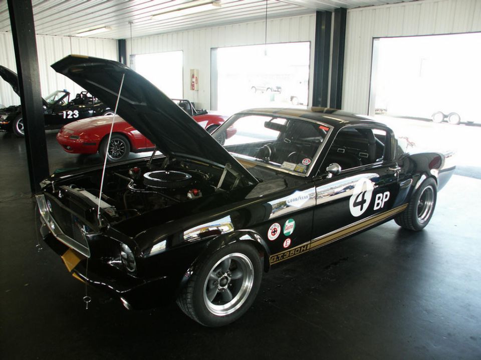 Black 1966 Shelby GT350H with hood open, showing engine. Other cars in background