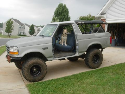 1995 Ford Bronco - A dog sits in the driver's seat of a lifted 1995 Ford Bronco parked in a suburban driveway.