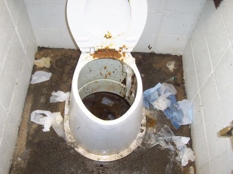 1994 Ford F-150 - This toilet is in a state of extreme disrepair and unsanitary conditions.