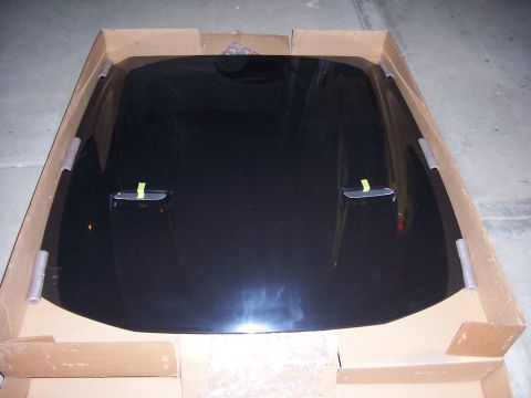 2002 Ford Mustang - Cyberstallion Hood