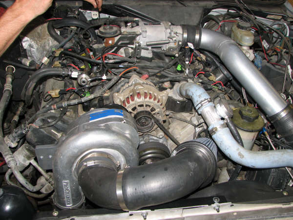 Engine bay with a ProCharger supercharger, silver intake pipes, and an alternator
