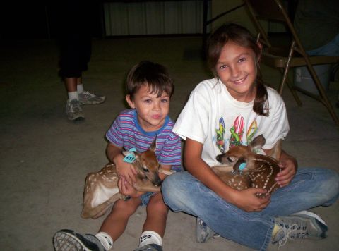 1986 Ford Bronco - Two children hold fawns with numbered tags, possibly at a wildlife rehabilitation center.