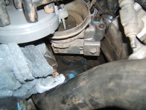 1988 Ford Bronco - Close-up view of engine components including the distributor cap and throttle body.