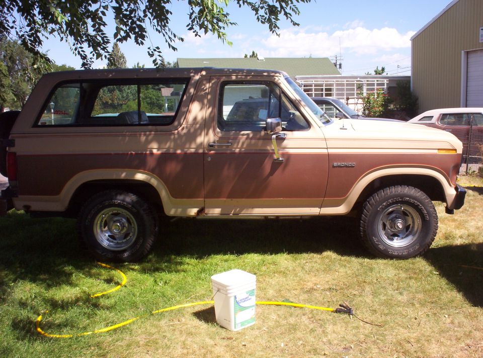 1984 Ford Bronco “Ferby”