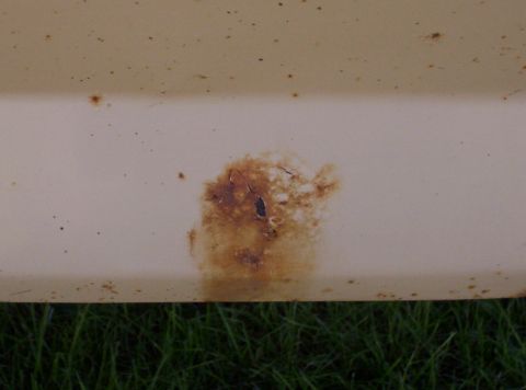 1984 Ford Bronco - Rear Driver Side Area