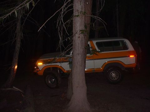 1978 Ford Bronco - In the trees!