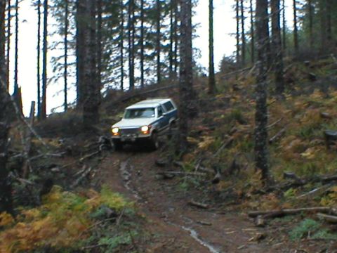 1978 Ford Bronco - Here comes Todd!