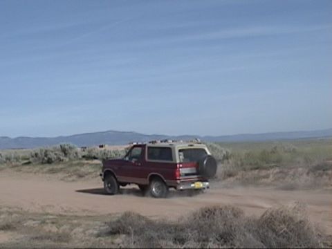 1994 Ford Bronco photo