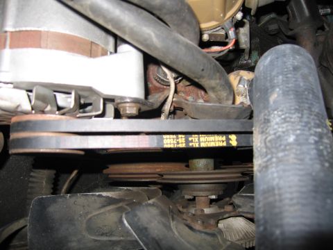 1991 Ford LTD Crown Victoria - engine bay view showing a yellow-lettered Premium XL drive belt routed between pulleys among hoses and brackets.