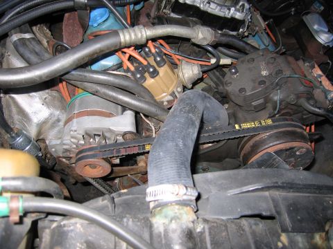 1991 Ford LTD Crown Victoria - Wide view of an engine bay showing the distributor, alternator, drive belts, radiator hose, and orange spark plug wires.