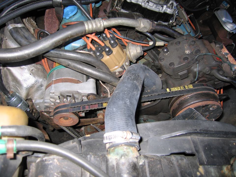 Wide engine bay view with distributor, alternator, belts, and orange plug wires