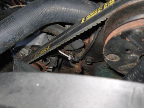 1991 Ford LTD Crown Victoria - Close-up of a toothed belt and a smooth drive belt routed past a rusty pulley among hoses inside an engine bay.