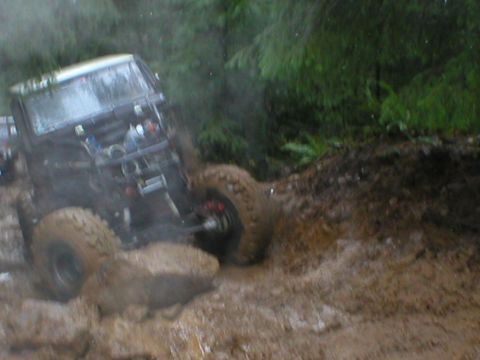 1978 Ford Bronco - He didn't make it either.