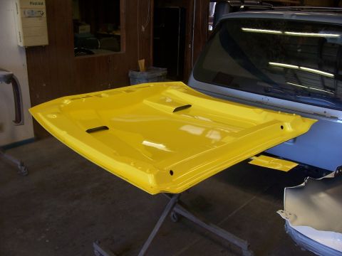 2002 Ford Mustang - Hood underside painted