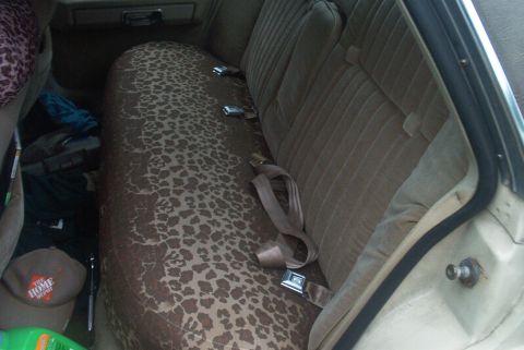 1985 Ford Crown Victoria LTD - The interior of a car shows a leopard print seat cover and beige seat belts, with a hat visible on the floor.