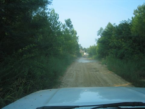 1996 Ford Bronco - Driving down a dirt road surrounded by trees, with a muddy patch ahead.