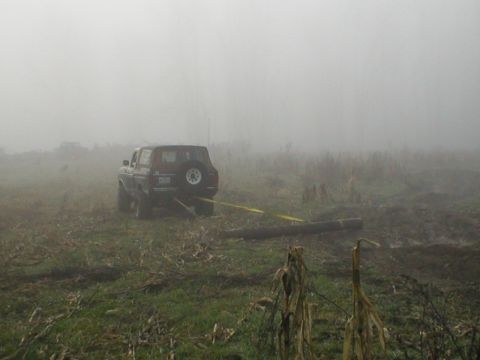 1978 Ford Bronco - A 1978 Ford Bronco is seen from the rear, pulling a log through a foggy, overgrown field.