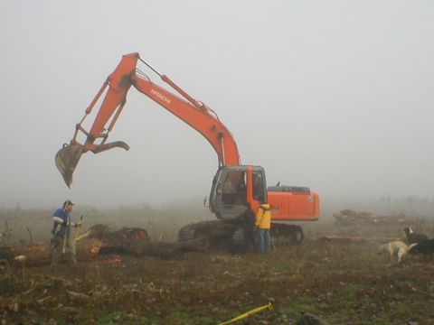 1978 Ford Bronco - An excavator operates in a foggy field, with two people and a dog nearby.