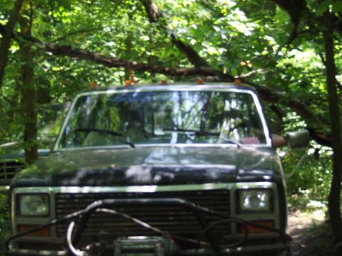 1986 Ford Bronco - This truck is partially obscured by trees and branches, with a winch visible on the front.