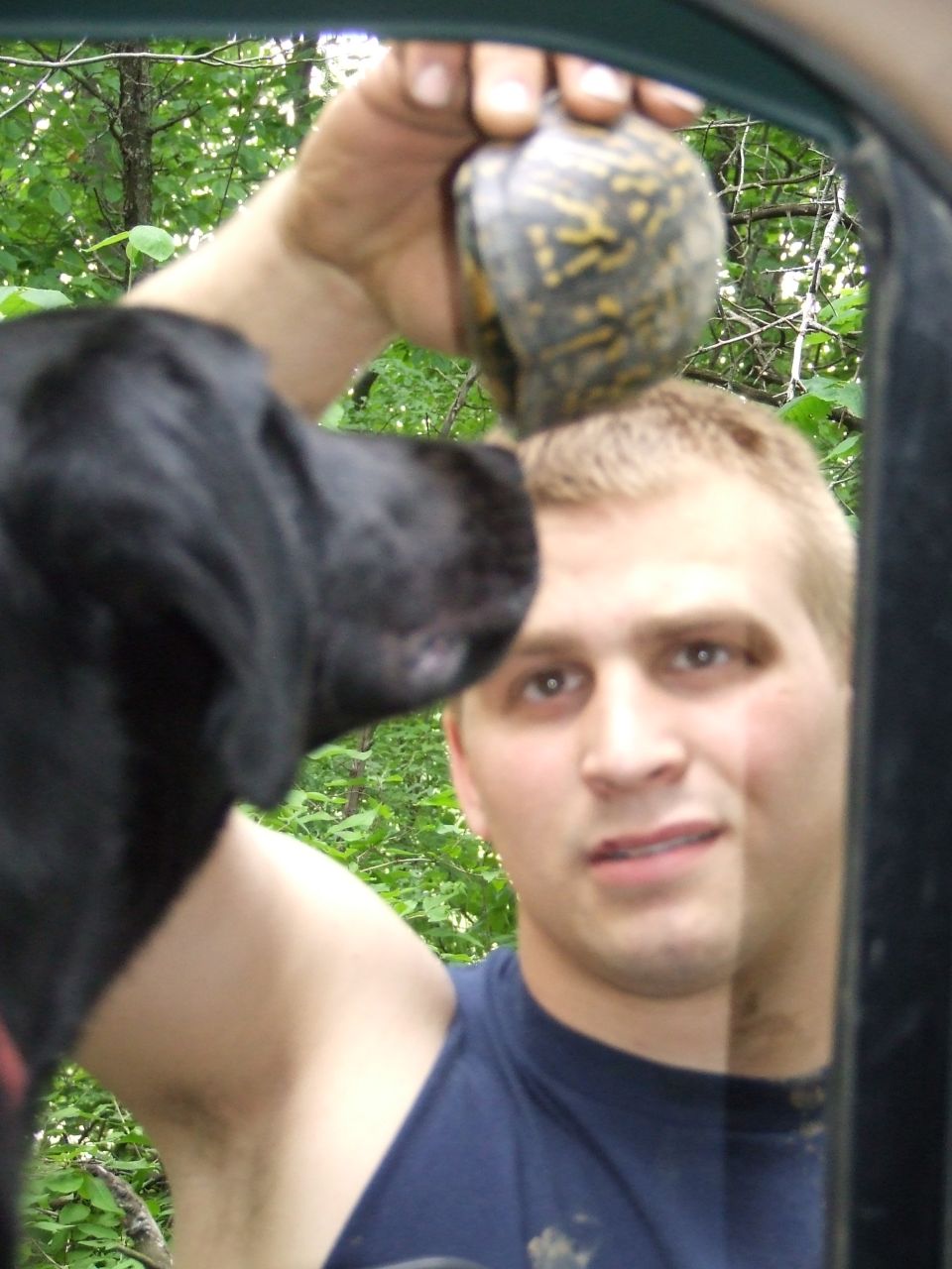 Man holding a turtle, with a black dog's head in the foreground, seen through a vehicle window