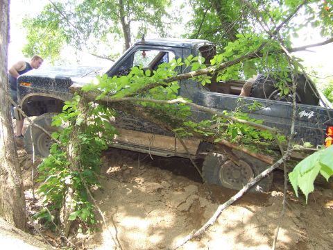 1986 Ford Bronco - A black off-road vehicle is stuck in a dirt embankment, partially obscured by tree branches.