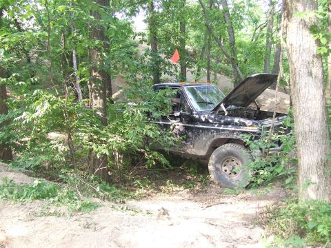 1986 Ford Bronco - A black pickup truck sits off-road, surrounded by dense foliage and trees.