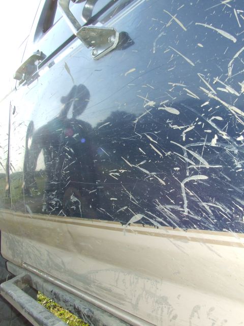 1986 Ford Bronco - The side of a vehicle is covered in mud splatters, obscuring its details and year.