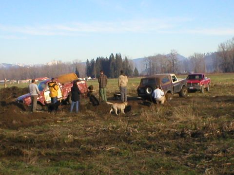 1978 Ford Bronco - Several people and dogs are gathered around a red Ford Bronco stuck in the mud, with a brown SUV and red pickup truck nearby.