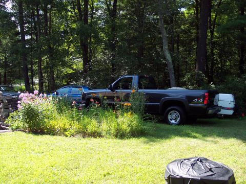2001 Ford Crown Victoria - Two vehicles, a pickup truck and a sedan, are parked in a yard surrounded by trees and foliage.