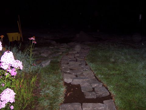 2001 Ford Crown Victoria - A stone pathway is illuminated by artificial light at night, bordered by grass and pink flowers.