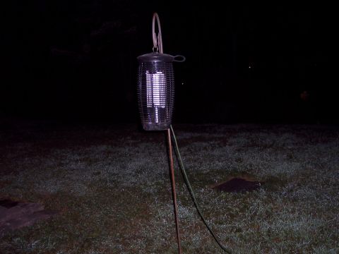 2001 Ford Crown Victoria - Bug zapper lantern illuminates a dark, grassy yard at night.
