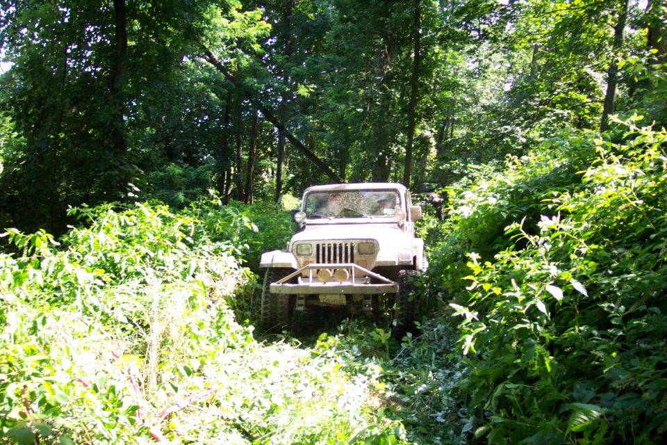 Jeep Wrangler driving through dense woods on a dirt path