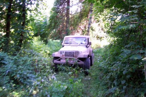 1978 Ford Bronco - A tan Jeep Wrangler navigates a dense, overgrown forest path.