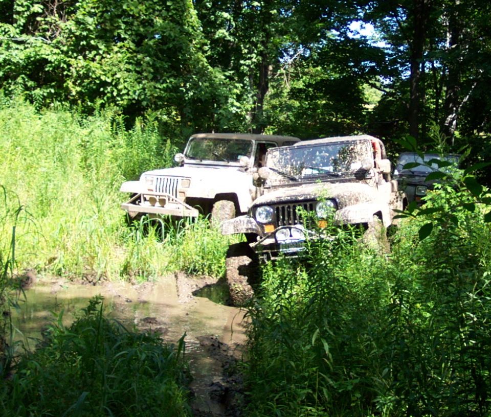 Two muddy Jeep Wranglers in a wooded area with tall grass and a muddy path