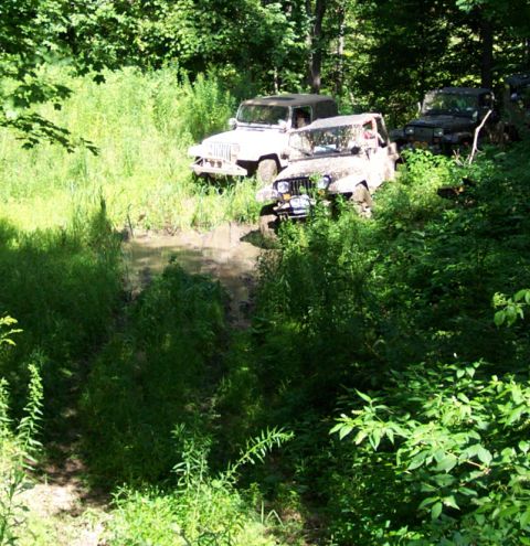 1978 Ford Bronco - Multiple Jeeps traverse a challenging muddy trail, off-road capabilities amidst a dense forest environment.