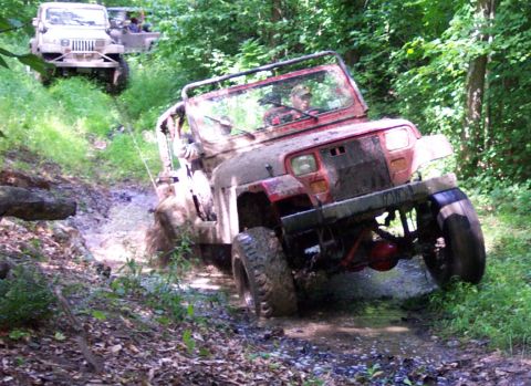 1978 Ford Bronco - Two jeeps navigate a muddy path through a dense forest, with the lead vehicle tackling a challenging incline.