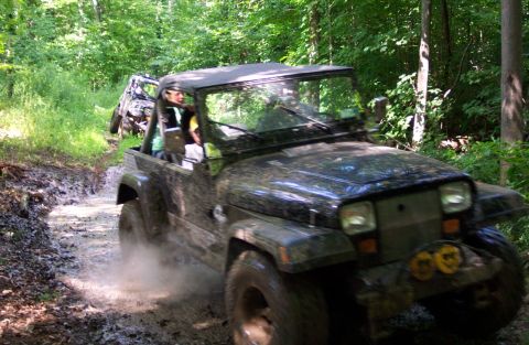 1978 Ford Bronco - Two Jeeps navigate a muddy trail in a forest setting.
