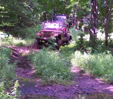 1978 Ford Bronco - Several off-road vehicles are seen on a muddy trail surrounded by dense foliage.