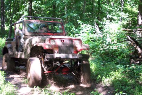 1978 Ford Bronco - Red Jeep Wrangler navigating a muddy path in a forest.