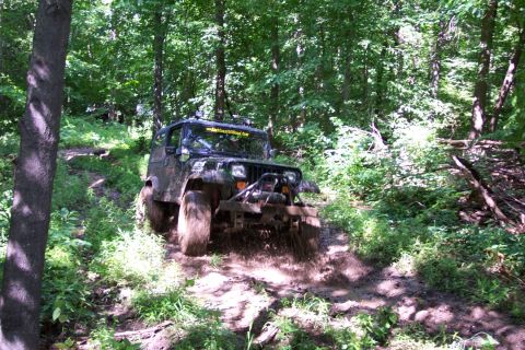 1978 Ford Bronco - A Jeep Wrangler navigates a muddy path in a dense forest.