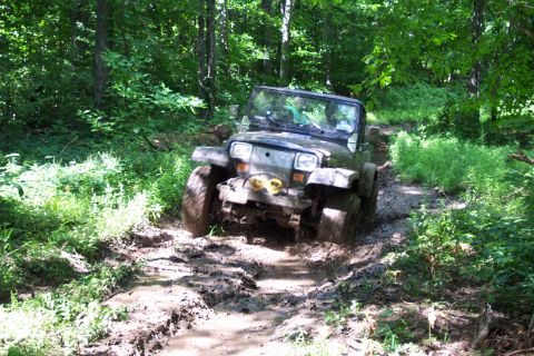 1978 Ford Bronco - A Jeep Wrangler struggles through a deep mud pit on a wooded trail.
