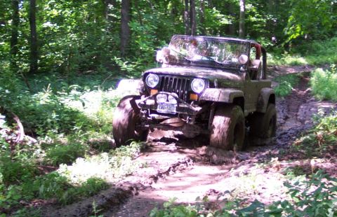 1978 Ford Bronco - This Jeep Wrangler is navigating a challenging muddy path surrounded by trees.