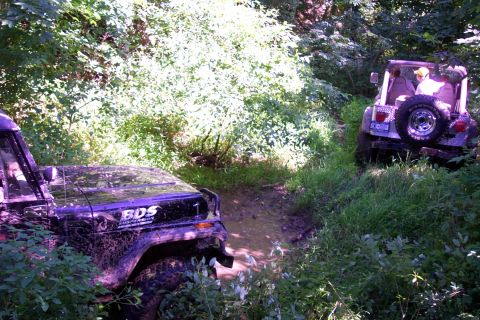 1978 Ford Bronco - Two off-road vehicles are stuck in the mud on a wooded trail.