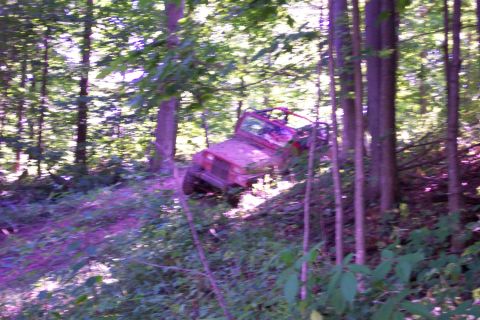 1978 Ford Bronco - An off-road vehicle is seen tilted on a steep, wooded incline, surrounded by trees.