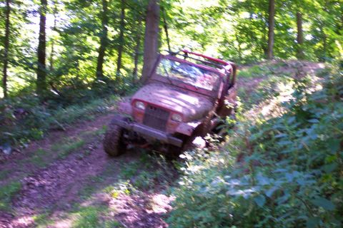 1978 Ford Bronco - Off-road vehicle navigating a wooded trail.
